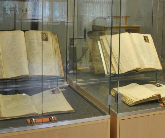 Muzeum Uniwersytetu Medycznego